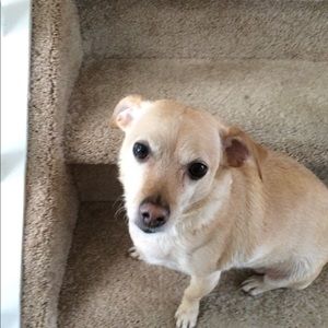 Meet your Posher, Norma